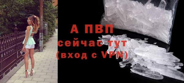 стафф Армянск