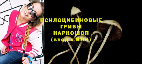 каннабис Аркадак