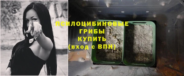 стафф Армянск