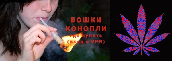 каннабис Аркадак