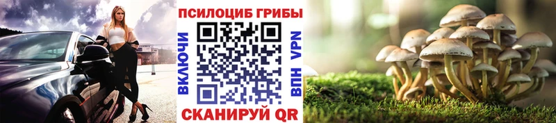 где купить наркоту  Ряжск  Галлюциногенные грибы мухоморы 